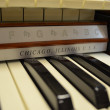 Lowrey Patriot organ - Organ Pianos